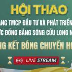 Chung kết Bóng chuyền hơi nữ Hội thao Ngân hàng BIDV khu vực ĐBSCL năm 2024 I THKG